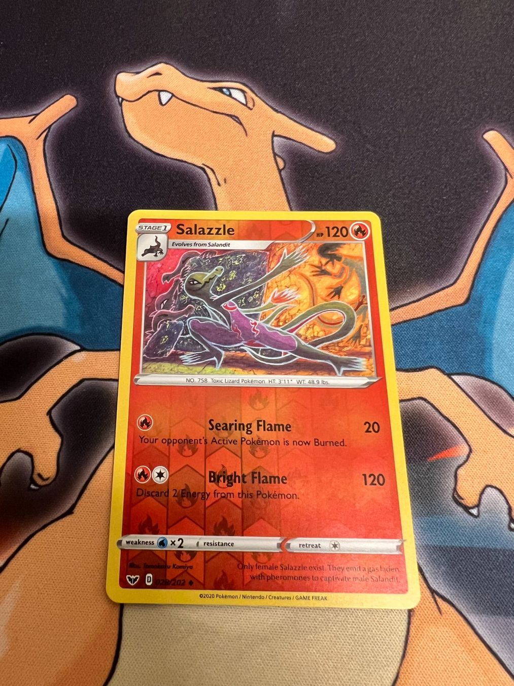 Pokémon Carte collezionabili: Salazzle (SSH 28) - Reverse Holo - Sword & Shield – Nuovo (secondo la descrizione) da Bülach venduto da Pfrenzel