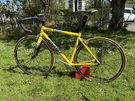 Rennvelo Giant Team ONCE  Grösse M  Top Zustand