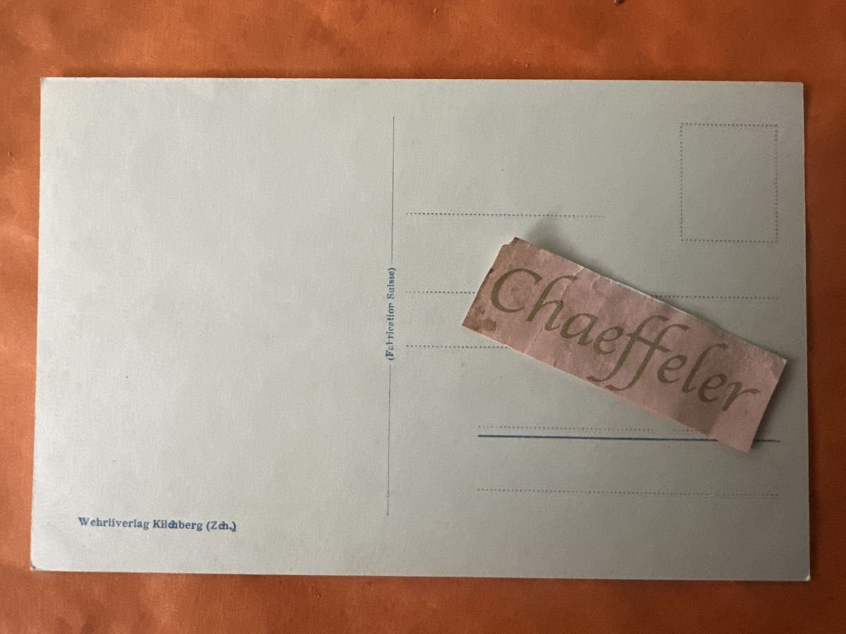 Cartoline postali:  21664 Telldenkmal Altdorf – Usato da Zürich venduto da Chaeffeler 1
