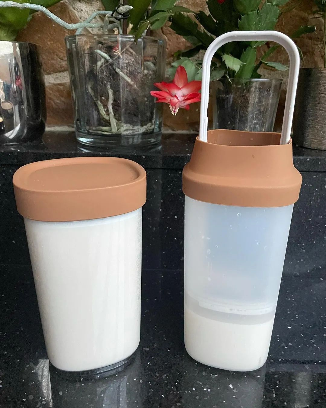 Elettrodomestici da cucina: Lekue Veggie Drinks Maker – Usato da Berneck venduto da erato6 4