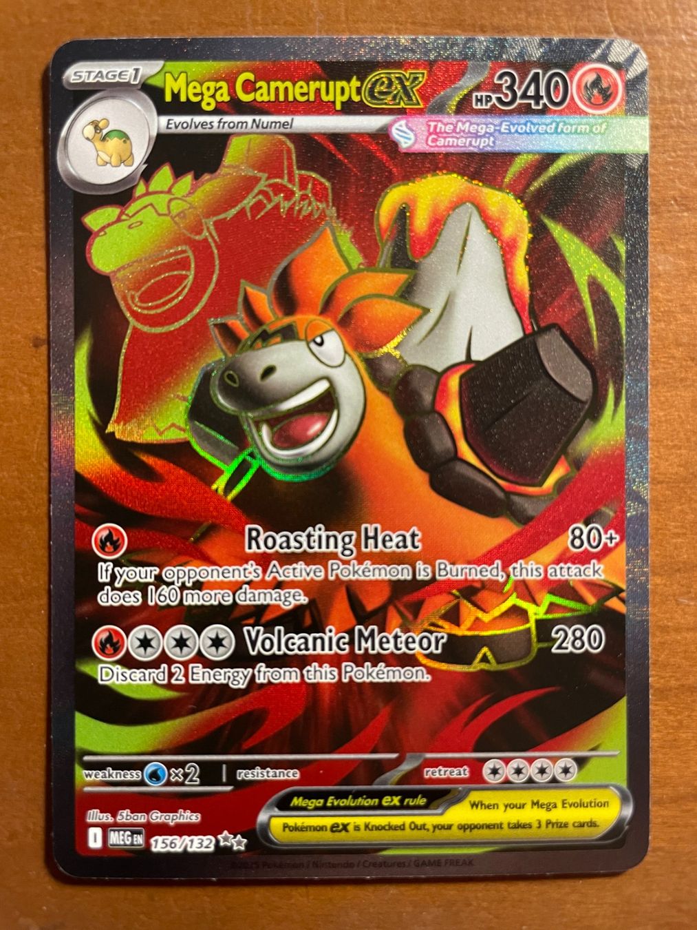 Pokémon Carte collezionabili: Pokemon Mega Camerupt eX (Versand gratis) – Nuovo (secondo la descrizione) da Chur venduto da Angerson