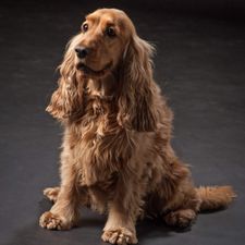 Profile image of ani_us77