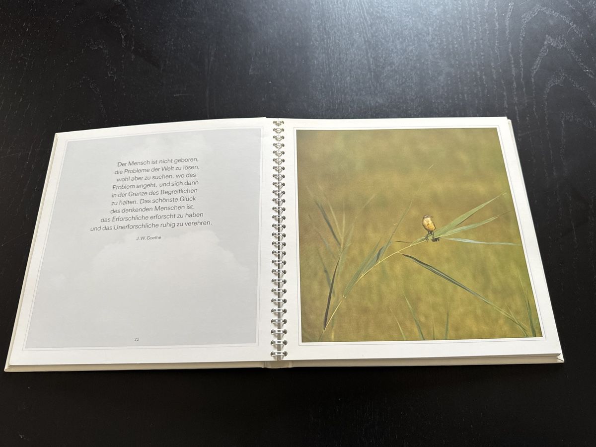 Libri: Geborgenheit – Usato da Erstfeld venduto da Mario_boe0 2