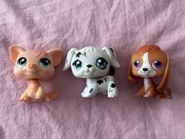 x3 Littlest Pet Shop (998 + 469 + 301)