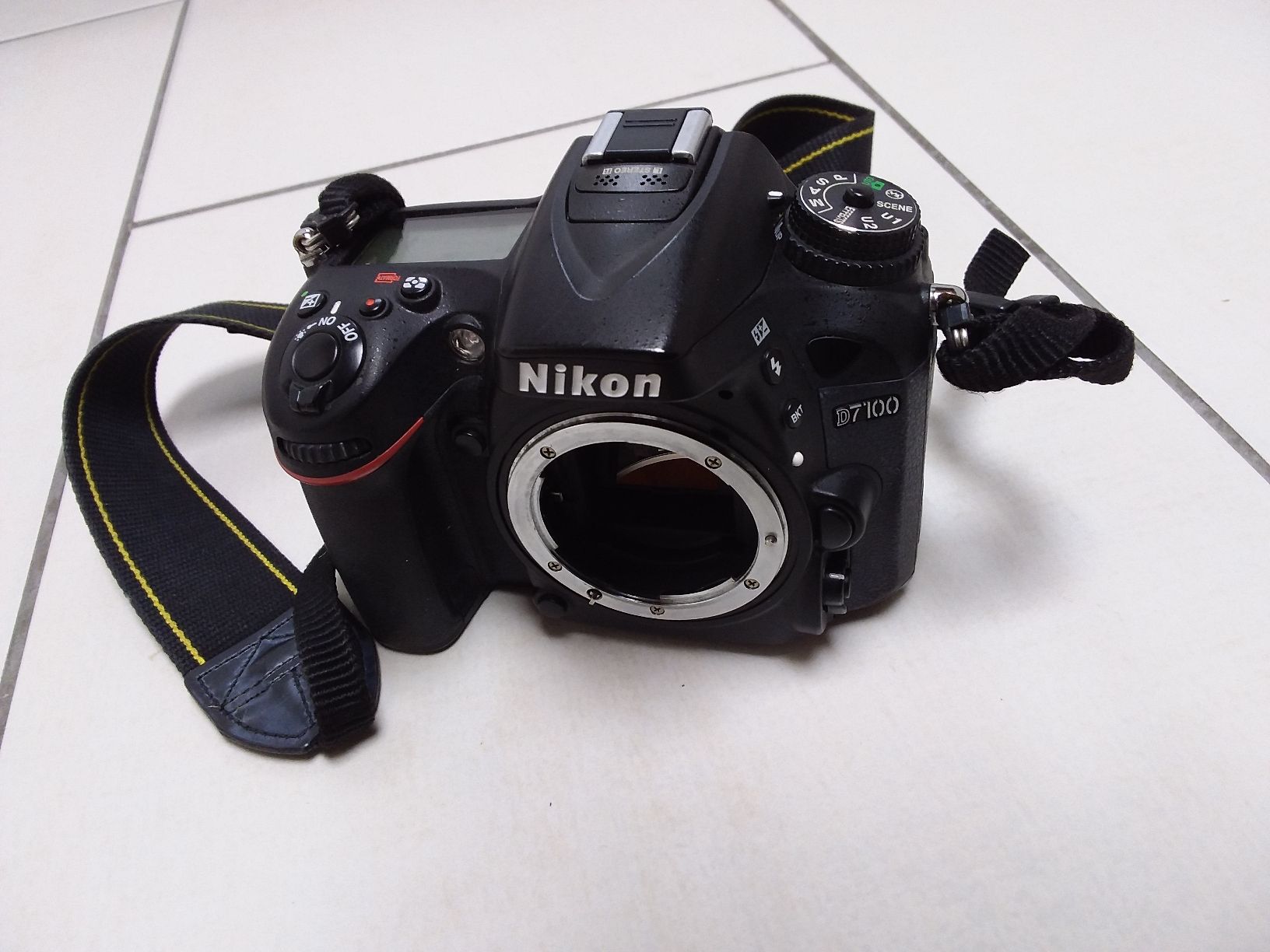 Nikon Appareil photo: Nikon D7100 – Défectueux à Ligornetto par Gurzo