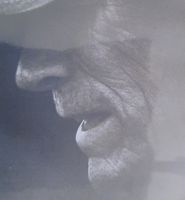 Clint Eastwood: Cry Macho DVD - Top Zustand.