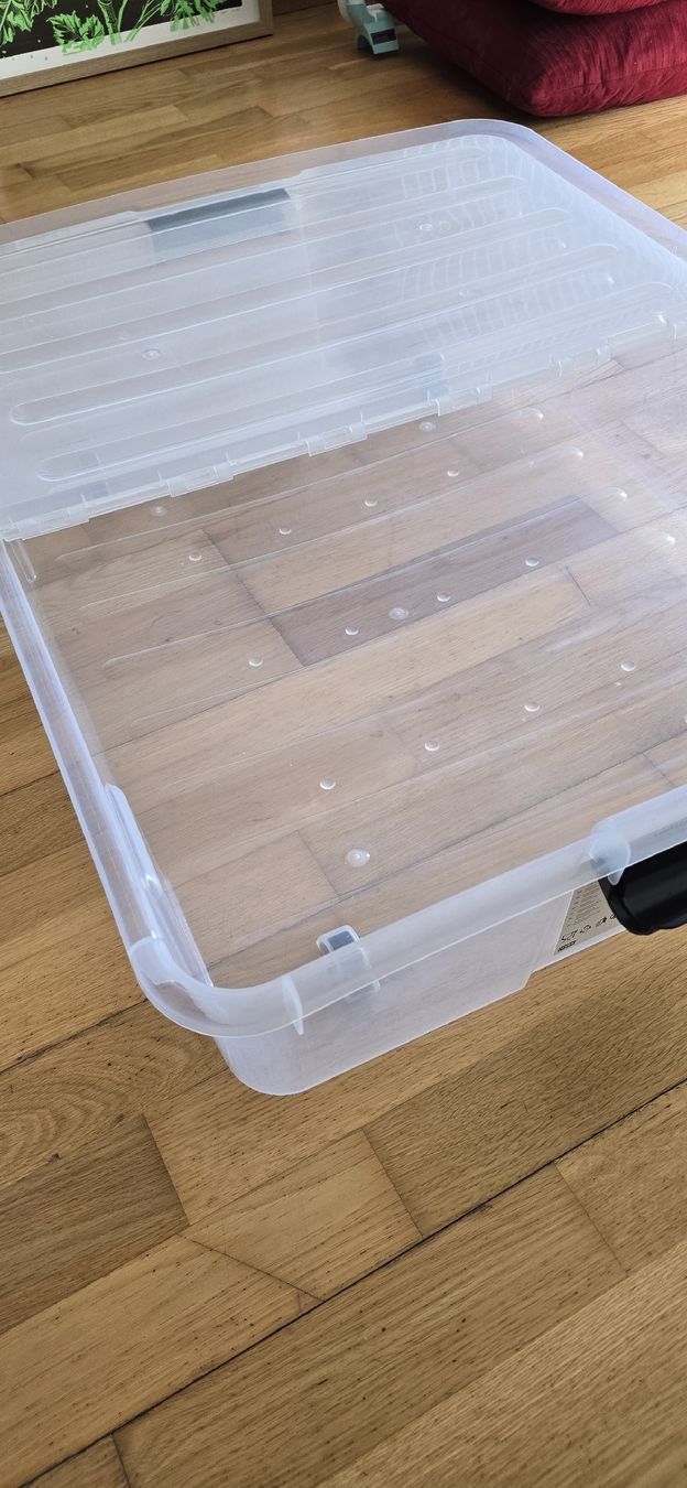 JYSK Aufbewahrungsbox Underbed, 71x56x19cm, 49L (Gebraucht) in Bern für CHF 9 – nur Abholung auf Ricardo kaufen