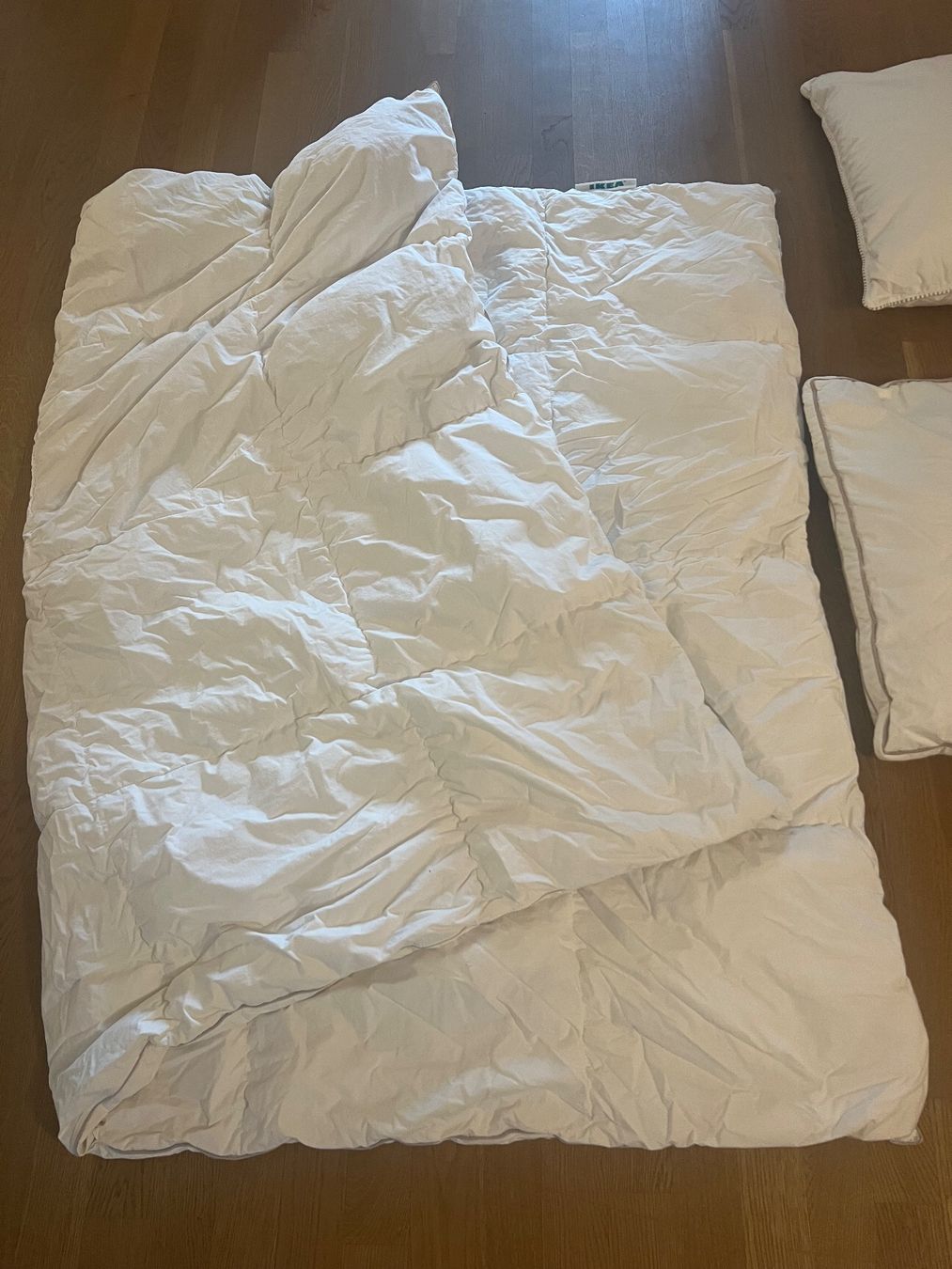 Coperte: Duvet mit 2 Kissen weiss – Usato da Ebmatingen venduto da dartim 1