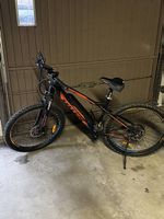 TOTEM  E-Bike nur 290 km gefahren