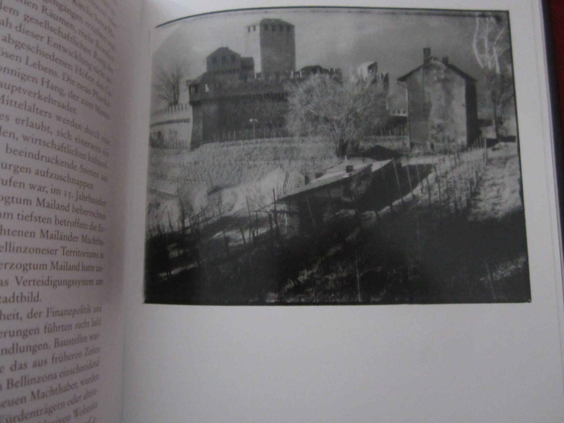 Bücher: Bellinzona Weltkulturerbe - Bildband – Gebraucht aus Volketswil von nemo2000 7