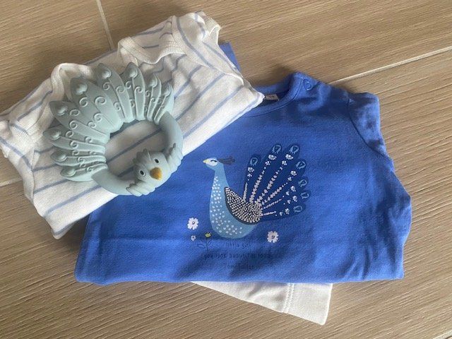 Lotti & Set di vestiti: neues Baby Set Gr. 62/68 "Pfau" – Nuovo e nell'imballaggio originale da Staufen venduto da Nasli 2