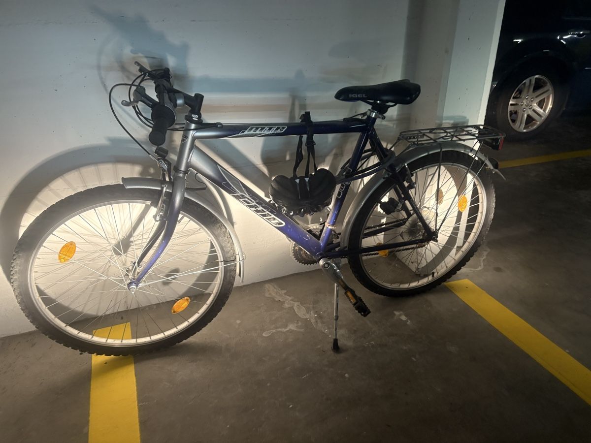 Biciclette: Gepflegtes Mountainbike – Usato da Zürich venduto da Orionos