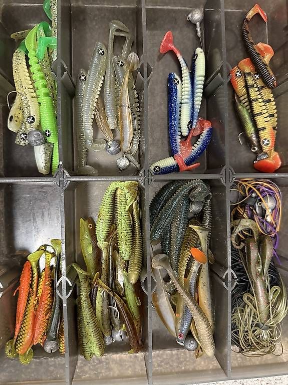 Esche: Diverse Gummifische Barsch und Zander – Usato da Mammern venduto da flohmarkt_tg 1