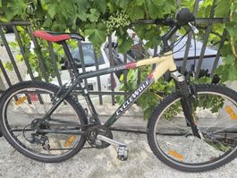 CYCLEWOLF Taino Mountainbike guter Zustand