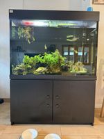 Aquarium mit viel Zubehör