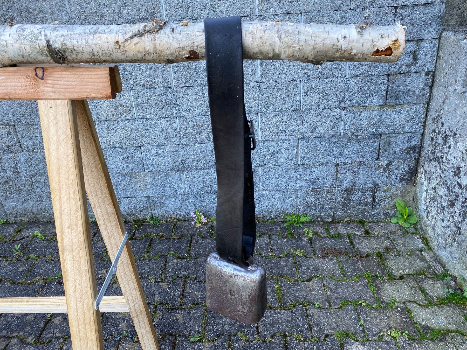 Campanacci mucche: schöne Schelbert Gotthard Bisse Nr. 5 – Usato da Feldbach venduto da Fea1 1