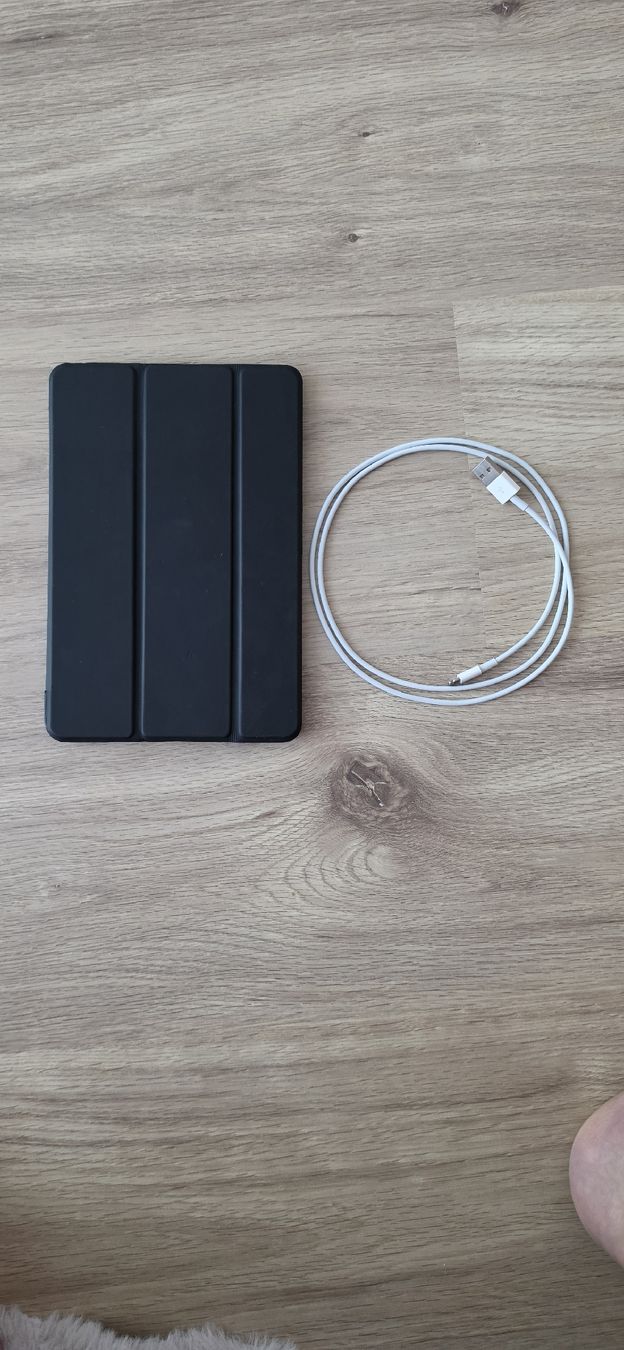 Apple Tablet PC: iPad 4 mini  – Gebraucht aus Zürich von merso01 3
