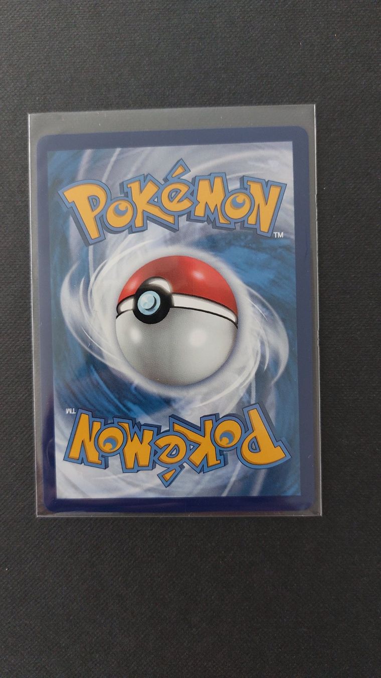 Pokémon Carte collezionabili: Liepard V Fullart Chilling Reign – Nuovo (secondo la descrizione) da Bellinzona venduto da Pagur 1