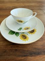 Winterling Röslau Bavaria Tasse Trio