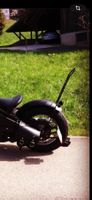 Schutzblech & Sissy Bar Kawasaki VN 800 Custom Bobber