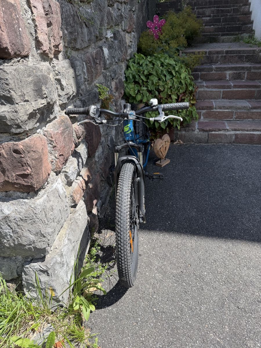 Jamis Biciclette: Jamis X.24 Disc Jugend-Mountainbike – Usato da Triesenberg venduto da dom_hd56 1