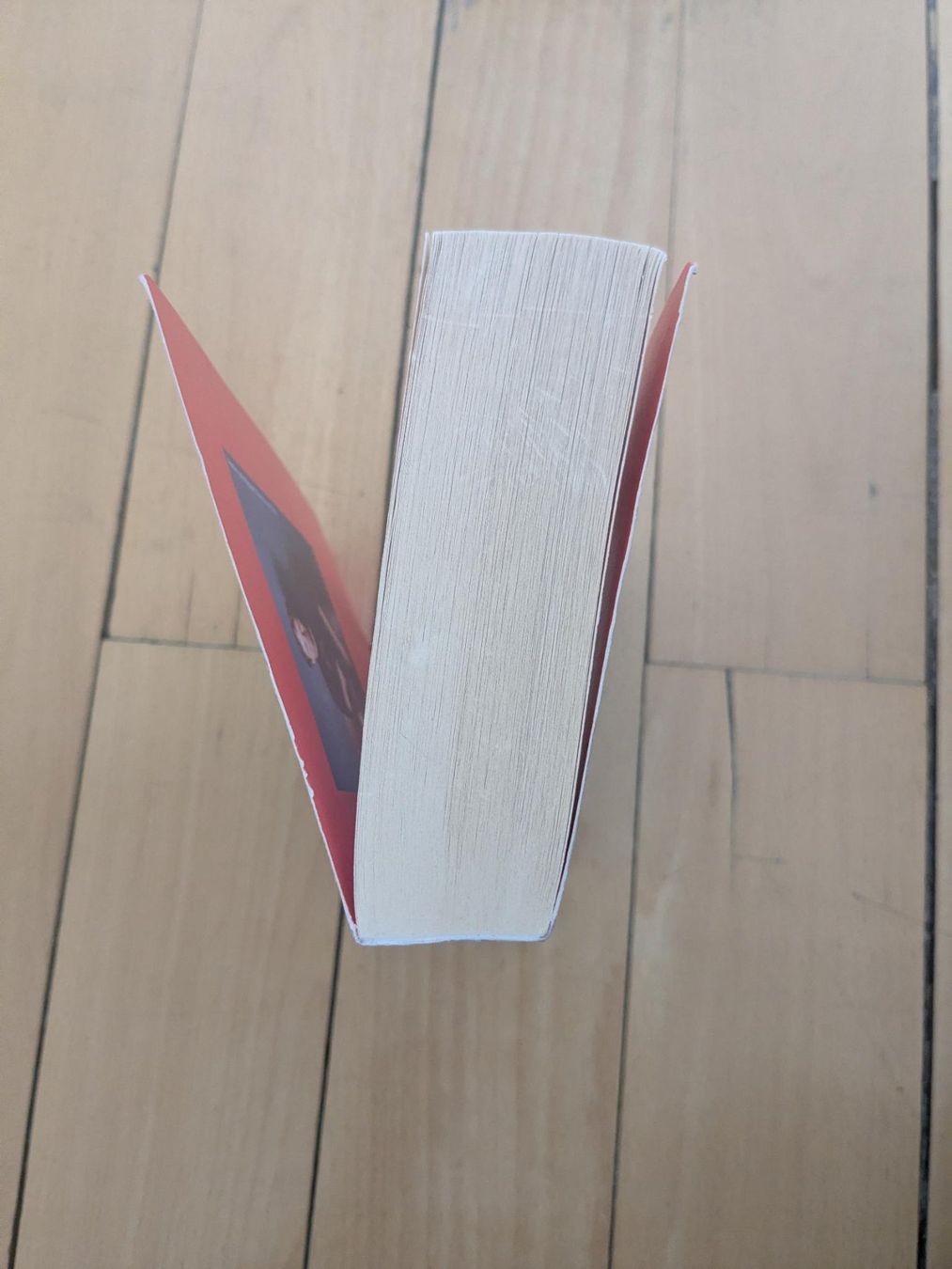 Libri: The Every - Dave Eggers – Usato da Zürich venduto da reb_gdl9 2