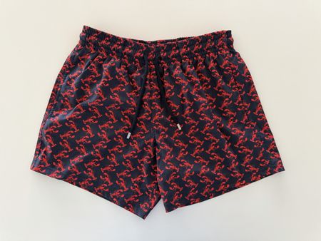Neue Vilebrequin Badehose Gr. M - Neupreis 300.-