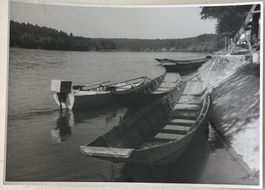 Originalfoto Willy Haller, Ellikon am Rhein, 13 x 18 cm