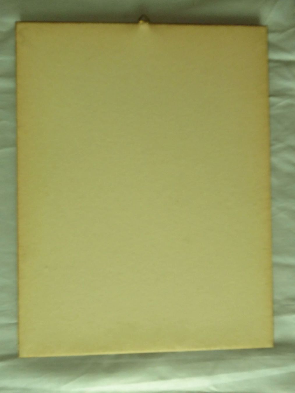 Arts picturaux & lithographies: Lithographie Nanodes Venustus – D'occasion à Zürich par Chaeffeler 4