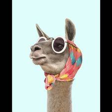Profile image of Flaconette