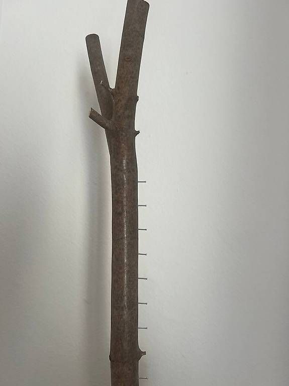 Tutte le decorazioni: Handcrafted natural branch rack – Usato da Zürich venduto da gen_mw79 3
