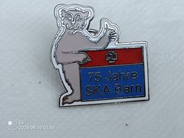 Pin SKA Bern