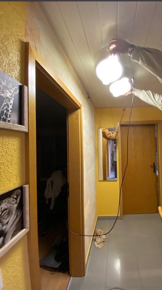 Lampadari & plafoniere: lot de 2 plafonniers LED – Nuovo (secondo la descrizione) da lossy venduto da katz_fr 7