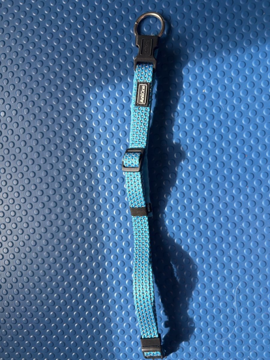 Nastri decorativi: Hundehalsband Anione – Usato da Eglisau venduto da bfr_2dz2 1