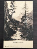 GÖSCHENEN Waldweg bei Göschenen, ungelaufen