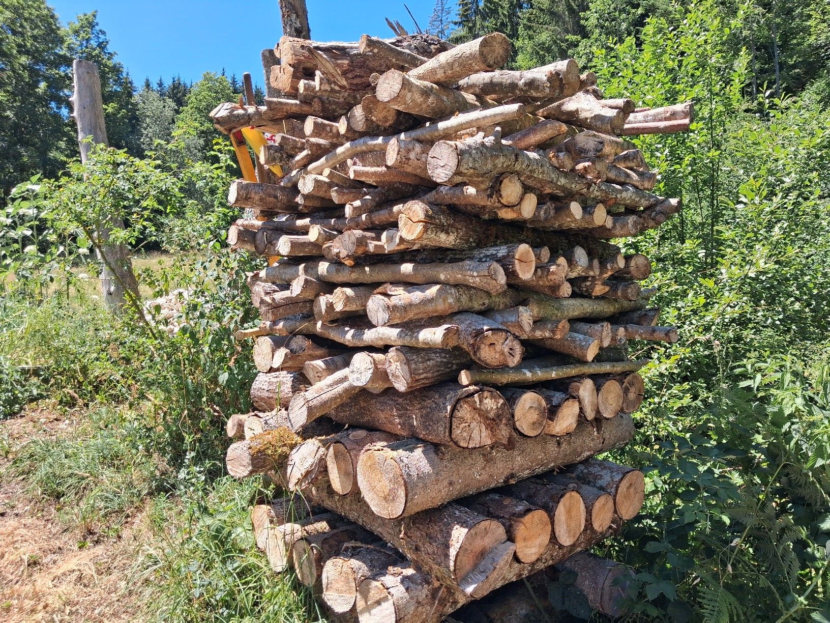 Articles en bois: Brennholz Hasel – Neuf (Voir description) à Herbetswil par ber_2kgk 1