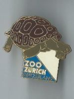 Zoo Zürich Schildkröte, Pin