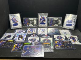 Lot Nummerierte, Autogramm, Jersey Karten des EV Zug