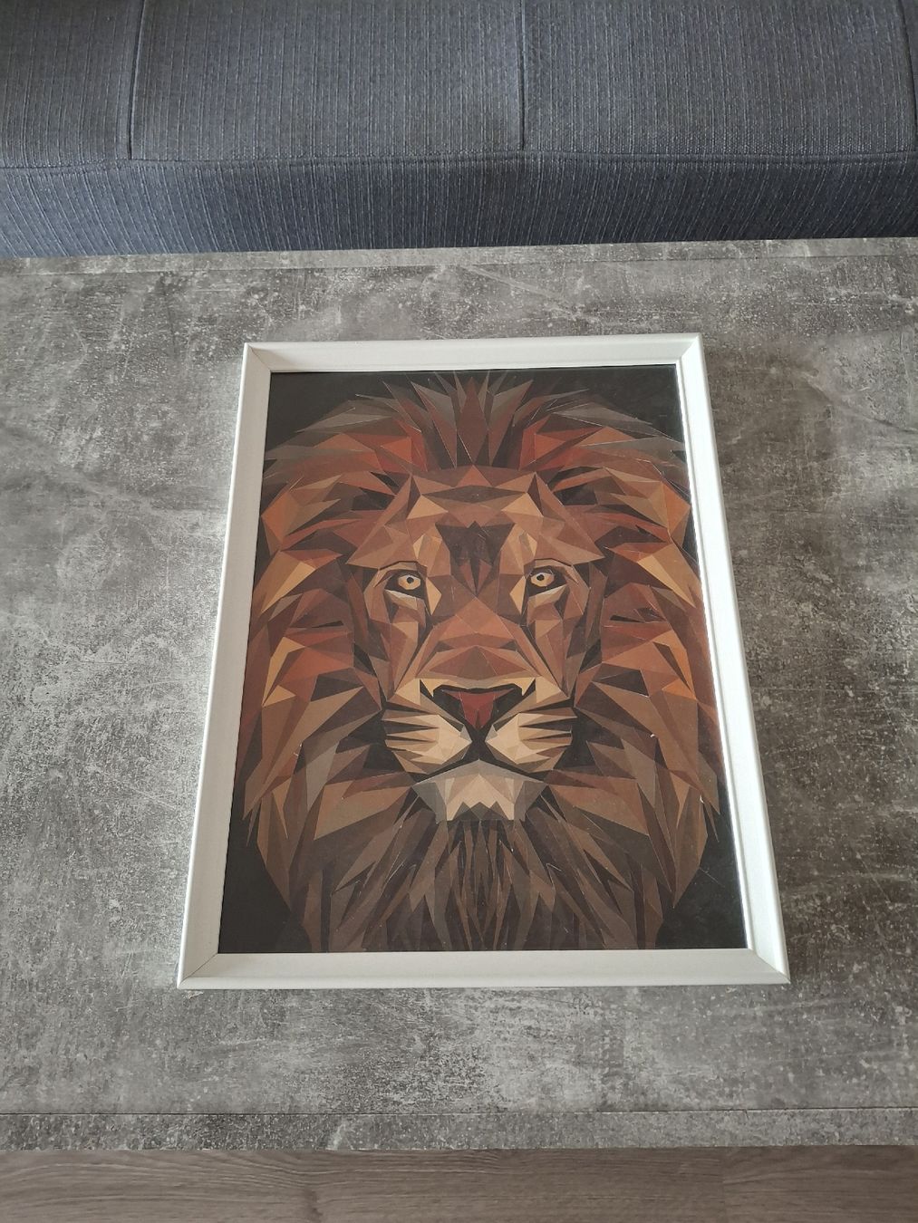 Tutte le decorazioni: Tableau représentant un lion – Usato da Morges venduto da ProfesseurJones