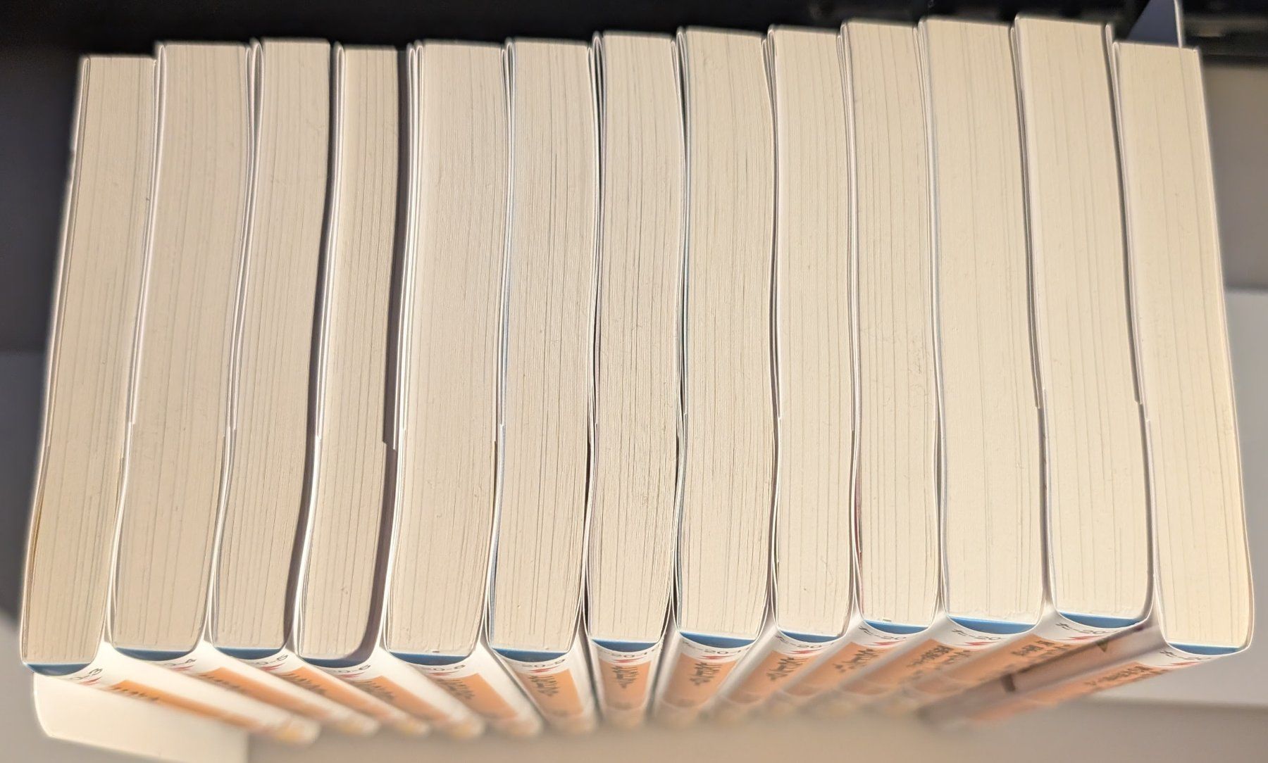 Bücher: Toradora  - Light Novel - Japanisch – Gebraucht aus Neunkirch von ale_jh8f 1