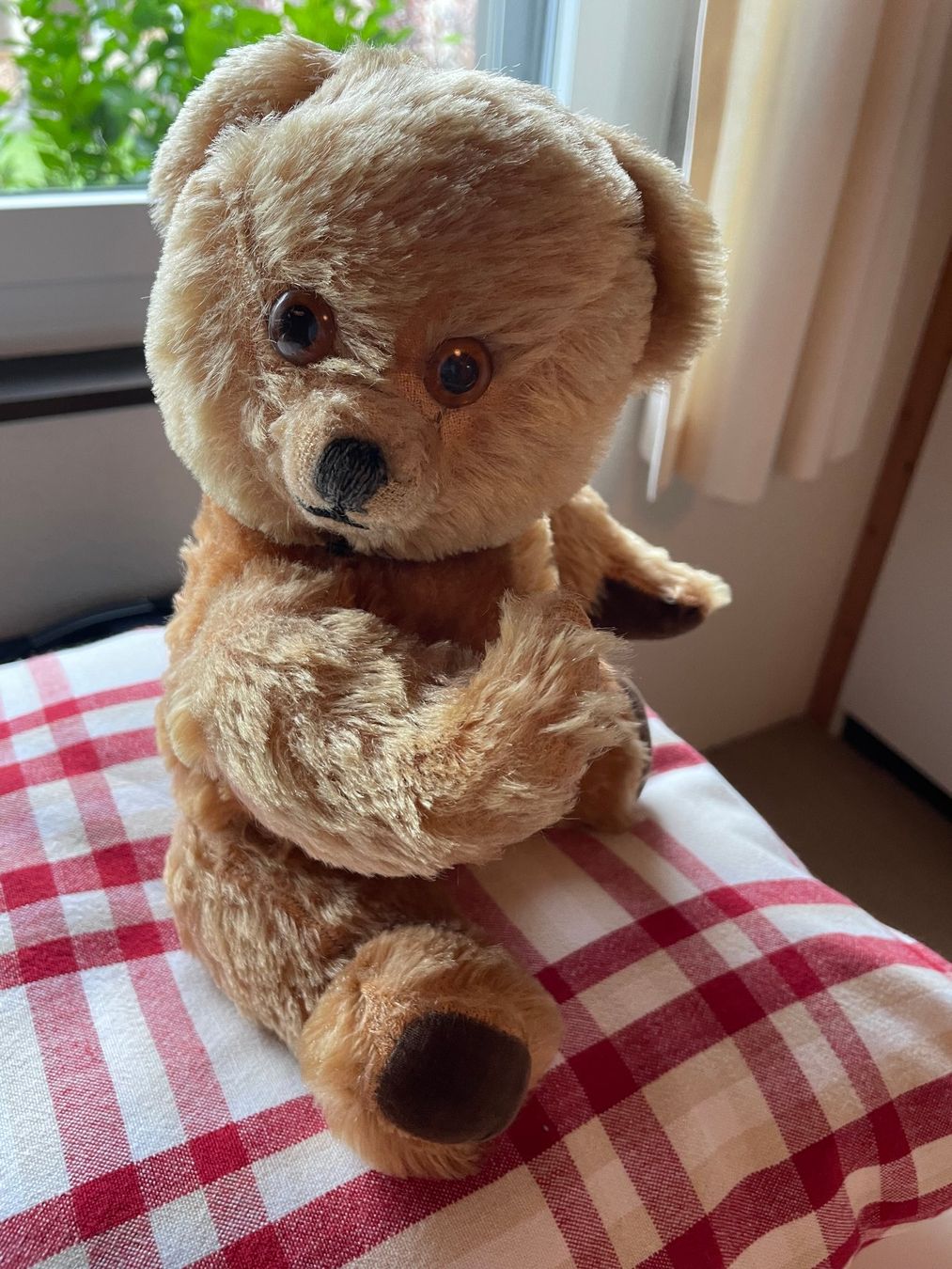 Giocattoli: Sehr gut erhaltener Teddybär mit drehbarem Kopf – Usato da Hausen am Albis venduto da Werk3 1