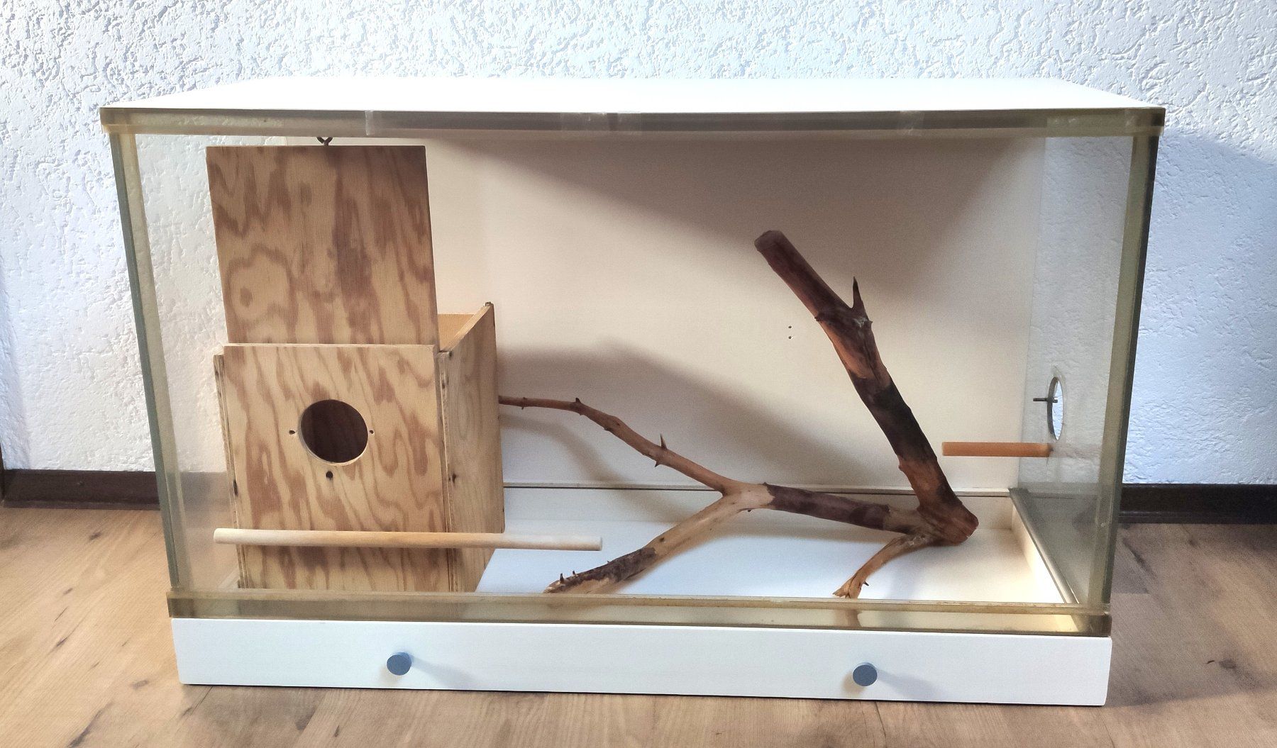 Gabbie, trasporto & Sicurezza: Cage à oiseaux en bon état. – Usato da Lamboing venduto da Qtrica 1