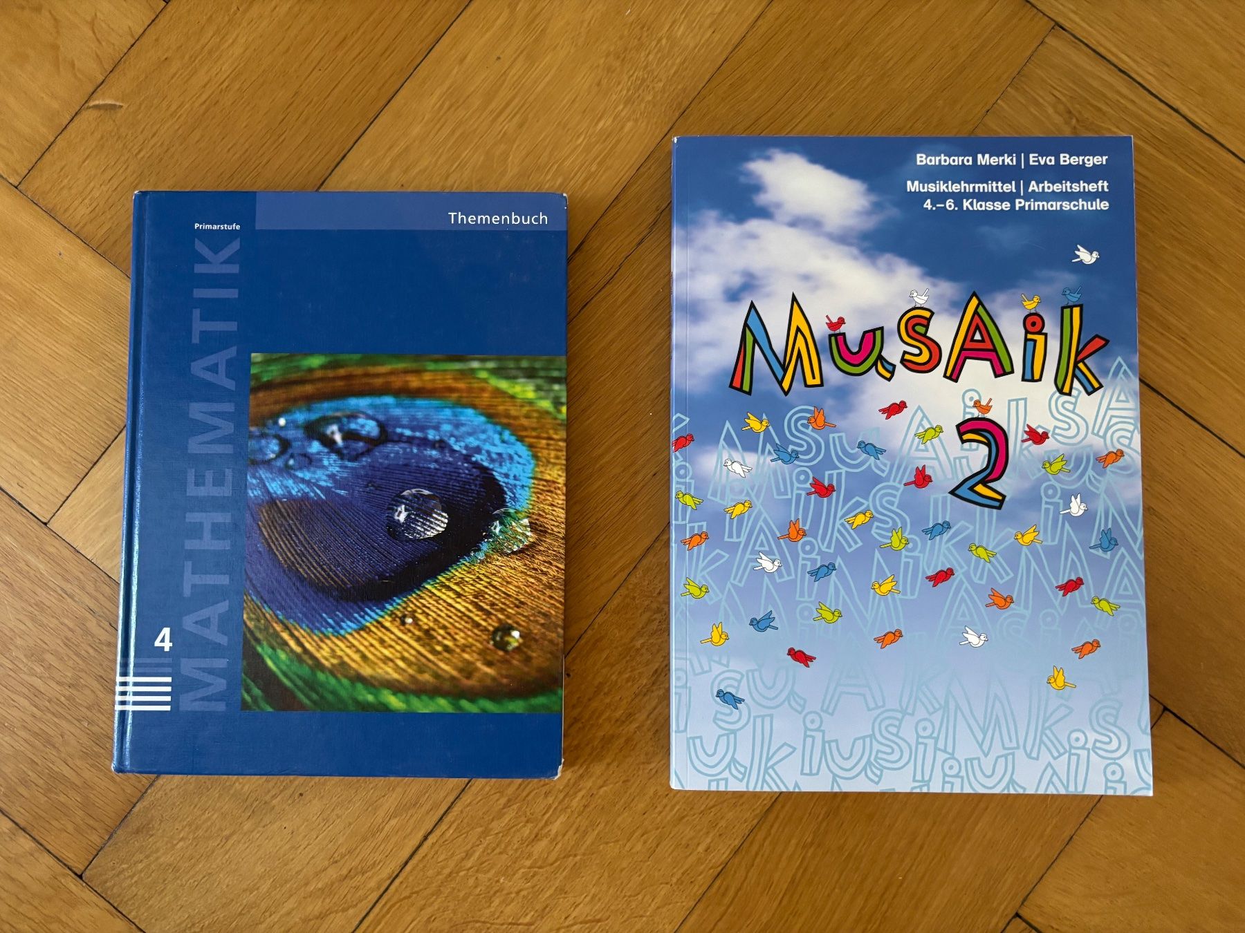 Bücher: Diverse Schulbücher - Primar 3. bis 6. Klasse – Neu (gemäss Beschreibung) aus Zürich von Reesi123 2