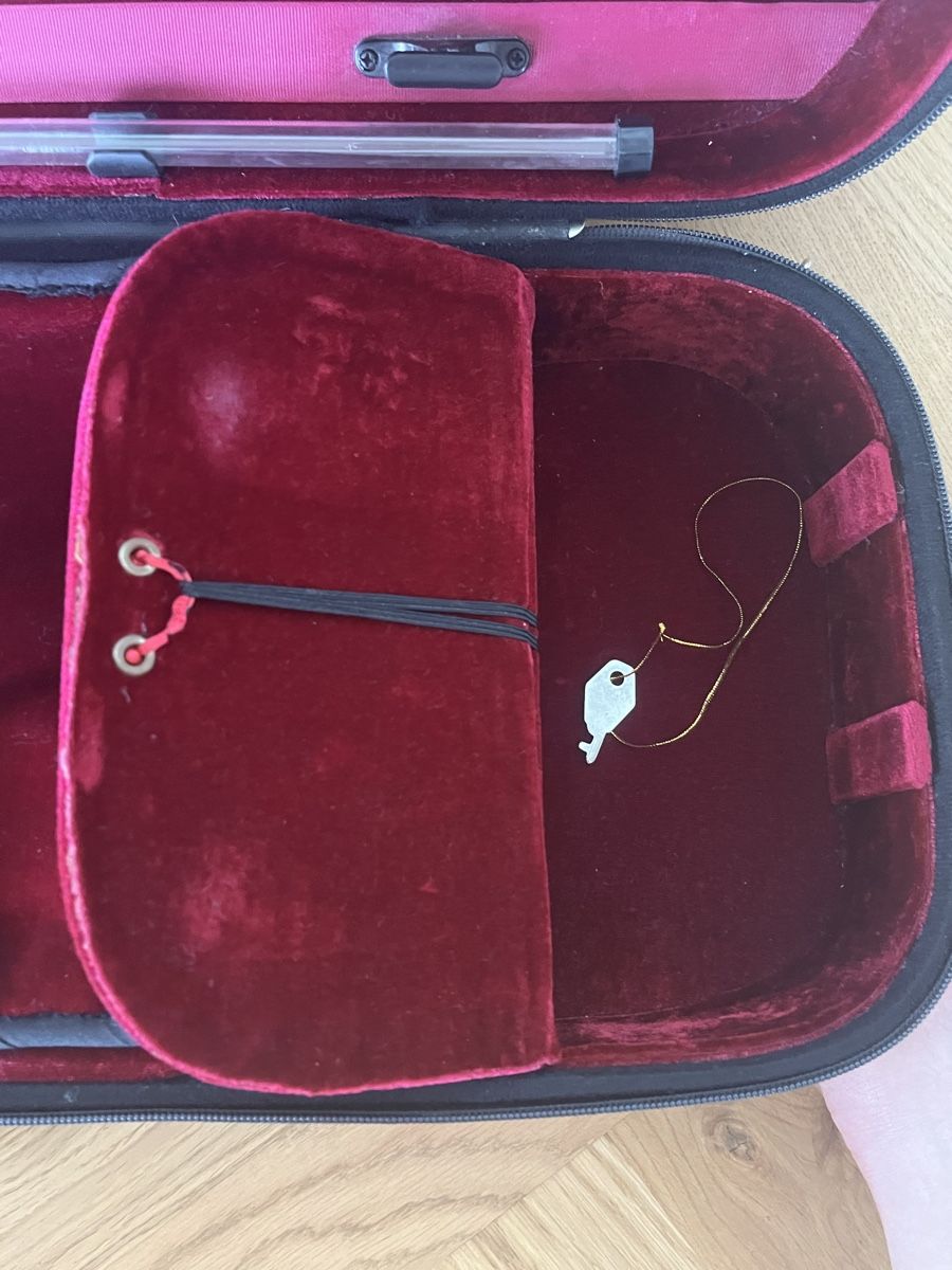 Strumenti musicali: Etui de violon 4/4 - Geigenkasten 4/4 – Usato da Biel/Bienne venduto da 2ndchance_4600 4