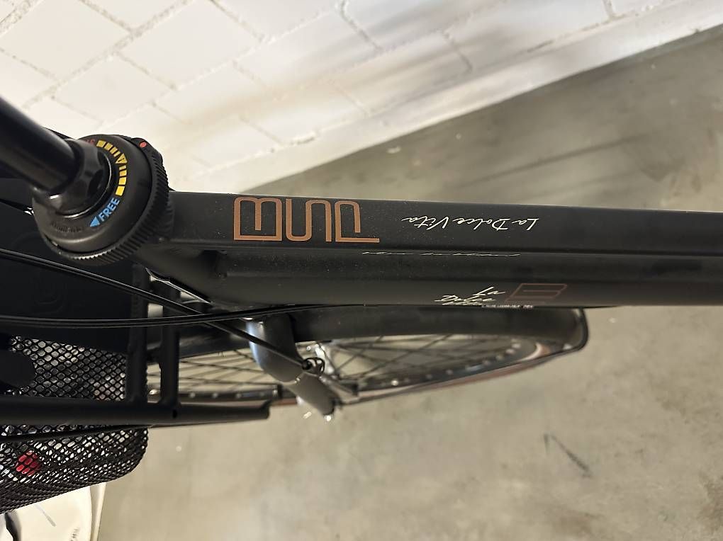 Biciclette: BSP La Dolce Vita – Usato da Widen venduto da mai_7cdl 2
