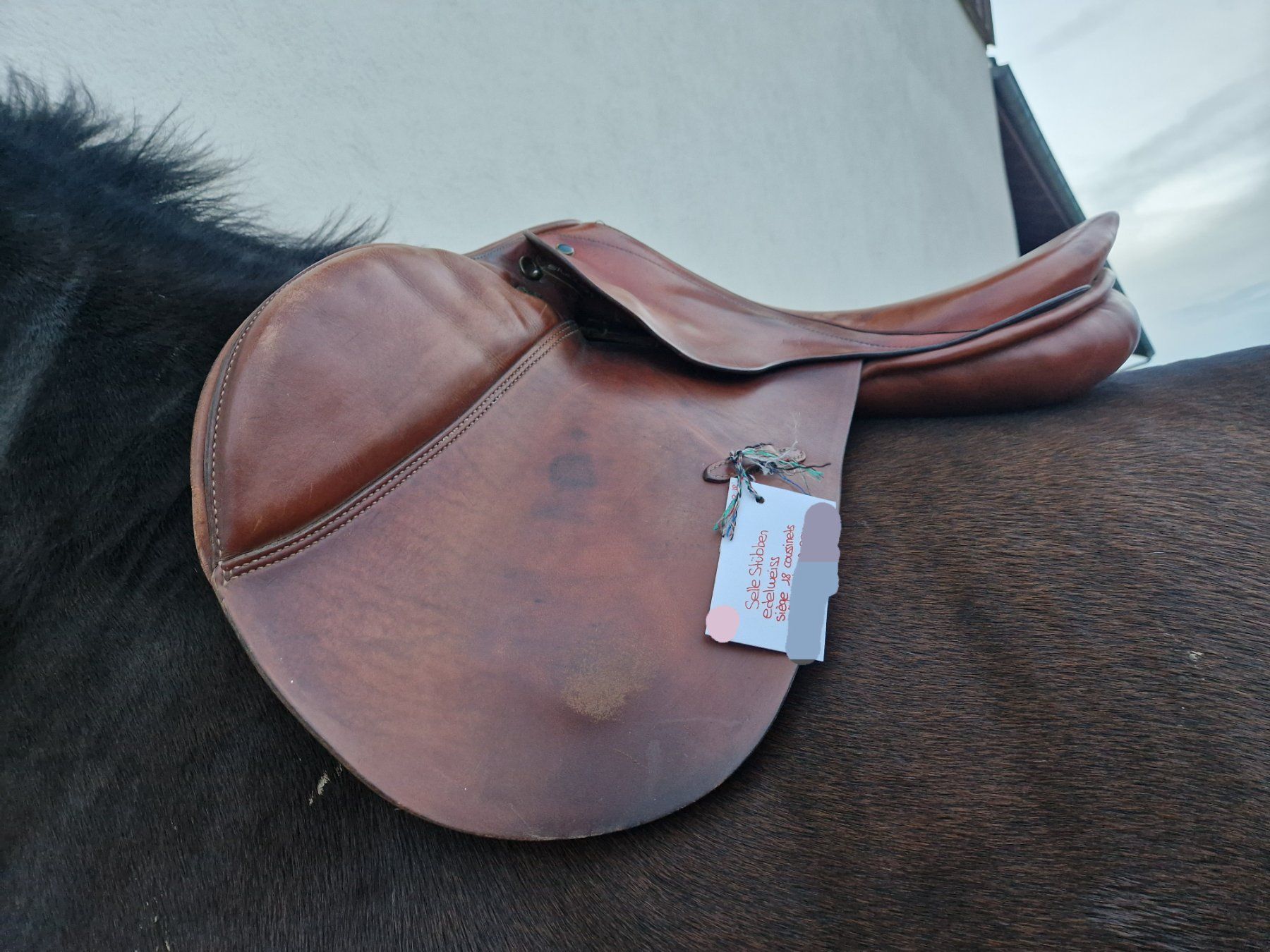 Selles, accessoires: Selle – D'occasion à Les Bois par ayanou04