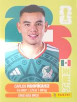 Panini FIFA World Cup MEX 9