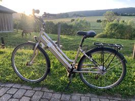 E-Bike Leopard City Cruise | Top Zustand!