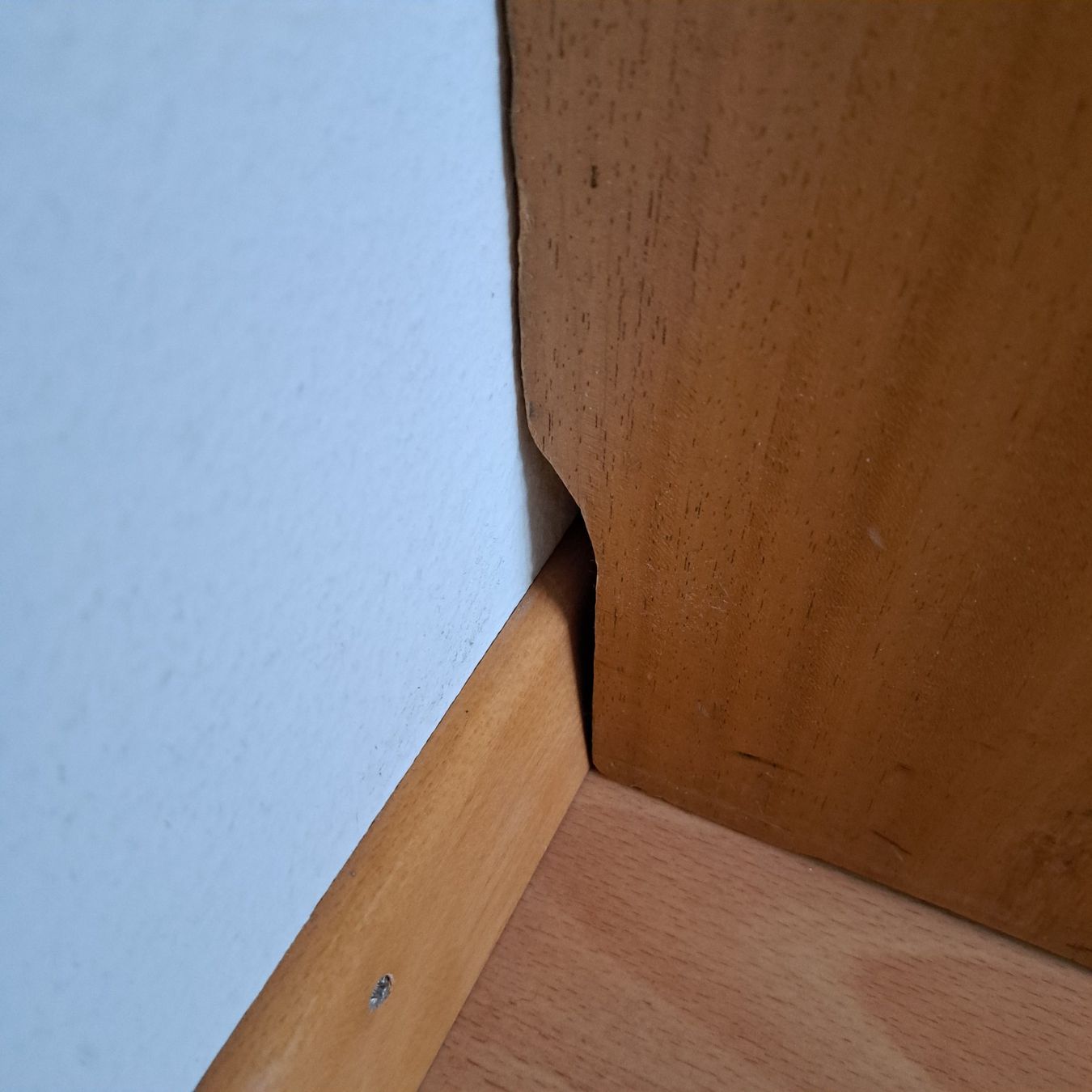 Cassapanche: Bettzeugtruhe, Holz, Vintage – Usato da Grüningen venduto da Tappio 6