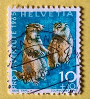Nr.J 211 GESTEMPELT Alpenmurmeltier 1965 